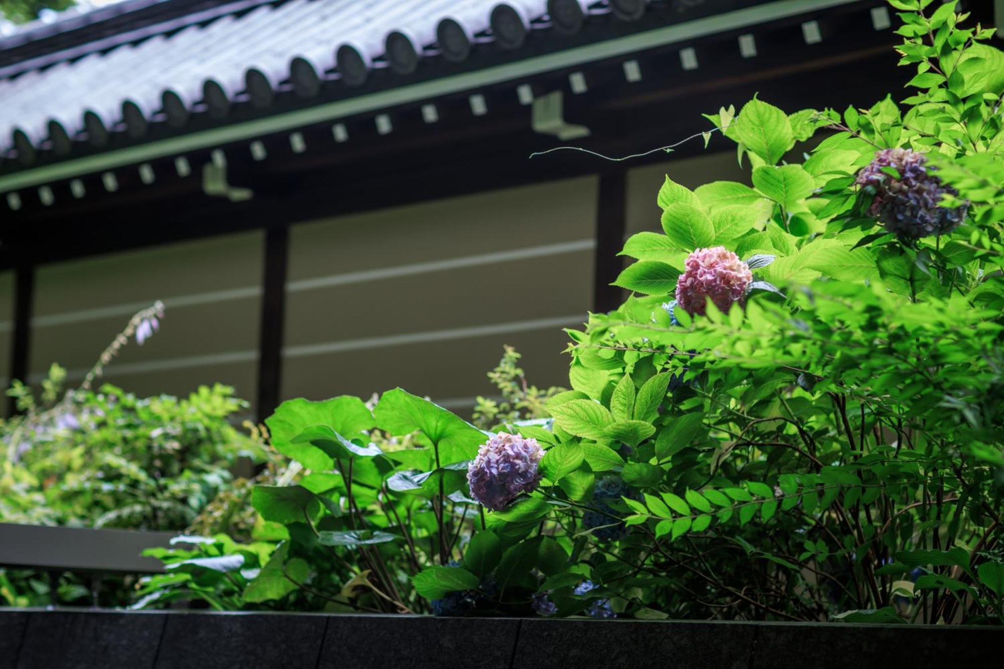 Hotel Okura Kyoto Okazaki Bettei Exterior foto